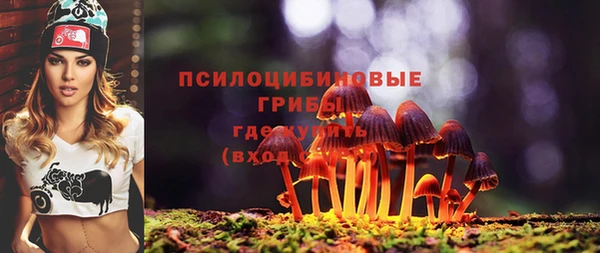 PSILOCYBIN Богданович